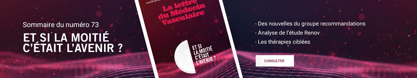LMV 73 - Lettre du Médecin Vasculaire Juin 2025